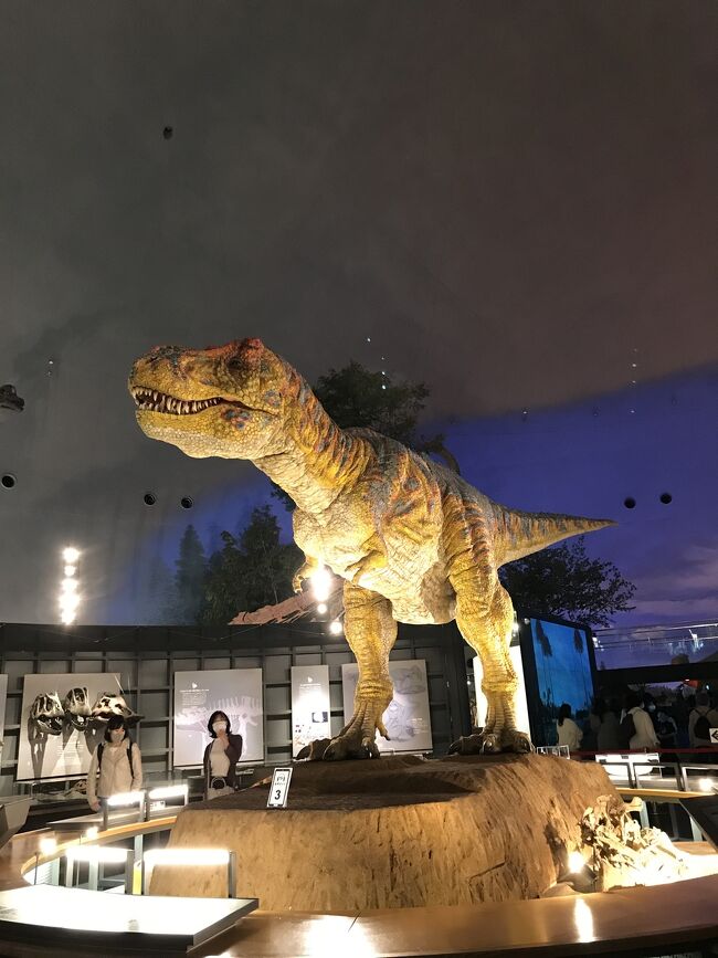 福井恐竜博物館の迫力～昭和ちっくな温泉と春のドライブ♪