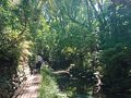 自由が丘の旅行記