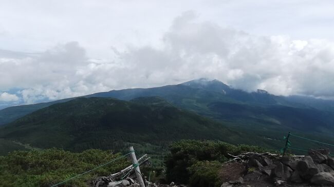 台風接近で微妙な予報のなか、中高年山岳会で北八ヶ岳を歩いてきました。<br />3,000m近い高峰がある八ヶ岳連峰のうち、麦草峠以北の2,500m弱の比較的穏やかな山々を北八ヶ岳と言います。魅力的ではあるのですが、ついつい山ノボラーの関心は赤岳(2,899m)を主峰とする南八ヶ岳に向きがち(><) 私も16年ぶりでした。<br /><br />朝出発だったので初日は入笠山へ。毎度の入笠山ですが、今回の同行者はお初なので問題なし(笑) 花もきれいでした。<br />2日目は雨が案外長引きゆっくり出発。女神湖の湿原を散策した後、北八ヶ岳ロープウェイで北横岳に。山頂では天候が回復して良かったですが、花は少なかった。<br />冷静にみればたいした山じゃないけど、雨にも遭わず楽しく歩けて、まずまずの山旅でした。
