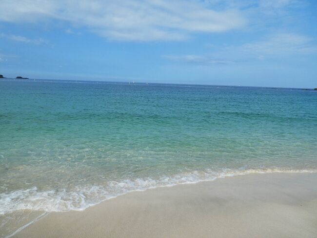 「楓浜の名付け親になったので白浜に会いに行く。ついでに温泉にも入る。①」からの続きです。<br /><br />楓浜にも会えたし、久々の温泉も楽しめました。<br />白浜最高!明光バスにも感謝!