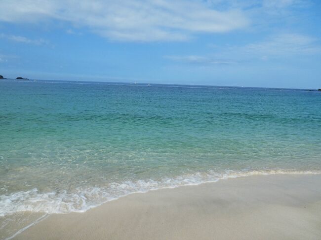 楓浜の名付け親になったので白浜に会いに行く。ついでに温泉にも入る。②