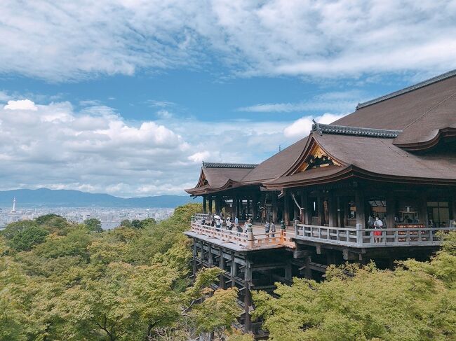 そうだ、京都行こう③