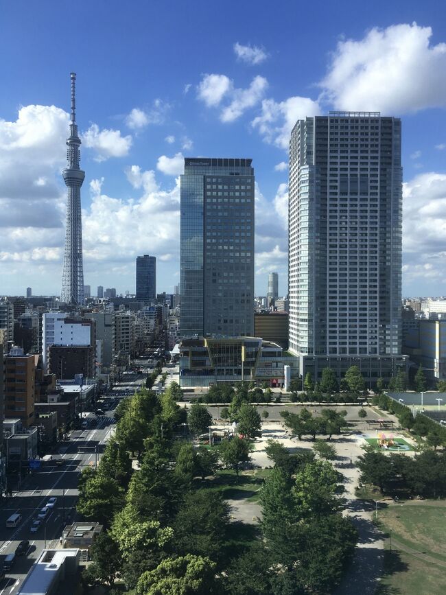 夢の国 ロッテシティホテル錦糸町おかわり　アイス食べ放題と真夏のカレーフェア☆