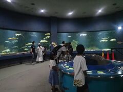 北海道ツーリング　12日　倶知安からおたる水族館を見学して小樽へ行きました。