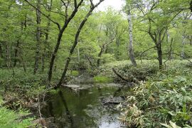 初夏の信州旅行♪　Vol.154 ☆上高地：河童橋周辺ハイキング　梓川に沿って♪