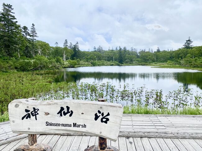 ニセコひらふのアパートに10日間滞在。エアコンがないのでアパートで日中を過ごすのは猛暑の中では無理<br /><br />アパートの様子はコチラ<br />https://4travel.jp/travelogue/11705338<br /><br />5日目も雲が多く暑いので、沼めぐりへ。長沼、神仙沼周辺を歩いてみました。その後、ホテル甘露の森の温泉によって汗をながし超気持ちいい。アンヌプリゴンドラ近くのソーセージ屋「エフエフ」では朝食用の食材をゲット。ヒルトンニセコビレッジにも立ち寄ってから帰りました