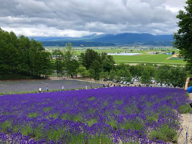 ふと富良野のラベンダーが見たくなったので日帰りで美瑛・富良野へ。<br />特急ライラックに乗り旭川まで北上し、富良野線へ乗り換え美瑛で途中下車。その後富良野までノロッコ号に乗り根室本線経由で札幌へと帰宅。<br />美瑛は駅前の電チャのレンタサイクルが学割も使え、便利でした。<br />帰りにふらのラーテルの温泉に寄ったのだが、歩いた体に最高に効いた素晴らしい泉質だった。<br />写真撮ってないのが悔やまれる…<br />