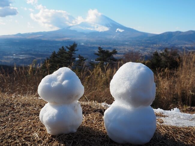 富士山がよく見えたので、午後から足柄峠までドライブしてきました。