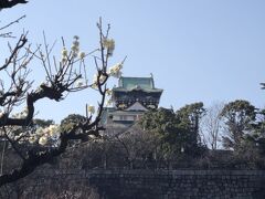 大阪城梅林とちらし寿司