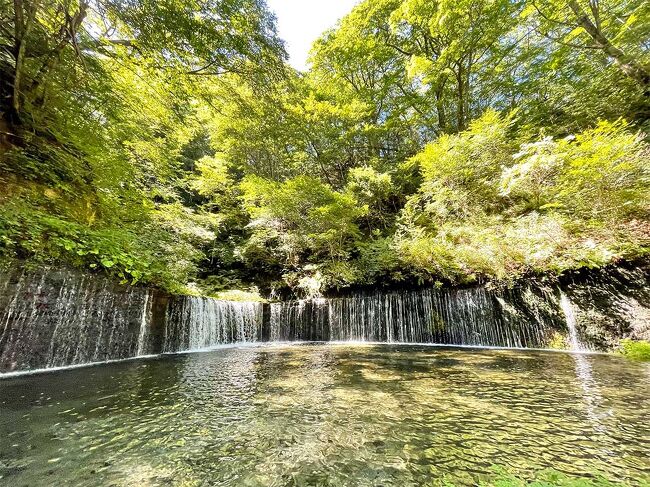 お盆休みの9連休中のこと…<br /><br />山の日だか何だかを含んだ三連休明け。<br />なんと予想最高気温が39℃だそーよ!<br />えぇーーーー!<br />涼しいとこに避難したいー!<br /><br />というわけで、涼しいと言ったら軽井沢。<br />今回は、行ったことのない北軽井沢へ。