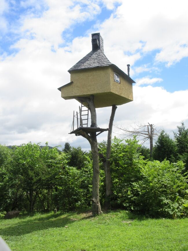のんびり半日過ごそうと、神長官守矢史料館から見学を始めました。守矢邸敷地内にある御左口神社へ行きました。畑の間を抜けて有名な空飛ぶ船、高過庵などを見てから、車で諏訪大社上社本宮に行きました。夏休み中で参拝者が多かったのが印象的でした。布橋はまだ補修工事中でした。上社本宮の隣の法華寺に寄り、廃仏毀釈で取り壊された神宮寺跡を見ました。諏訪博物館にある足湯を見てから入笠山麓にあるゆーとろん水神の湯へ行きました。食堂くーとろんで昼食をとり、空いている露天風呂でのんびり空を見ながら温泉に浸かりました。歴史と温泉を満喫した半日でした。