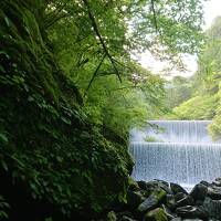 高知県 仁淀川町 安居渓谷と、いの町　水の駅仁淀川にこにこ館