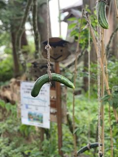 岩手/4連休は急遽函館と岩手。Vol.2美食盛岡・民話の遠野・藤原氏の栄光平泉へ＠ドーミーイン盛岡（2021年7月）