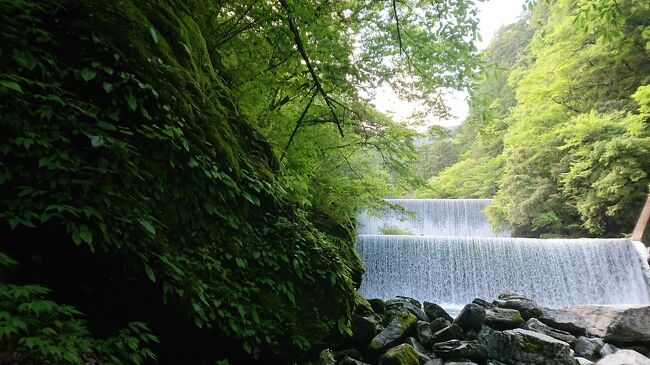 高知県 仁淀川町 安居渓谷と、いの町　水の駅仁淀川にこにこ館