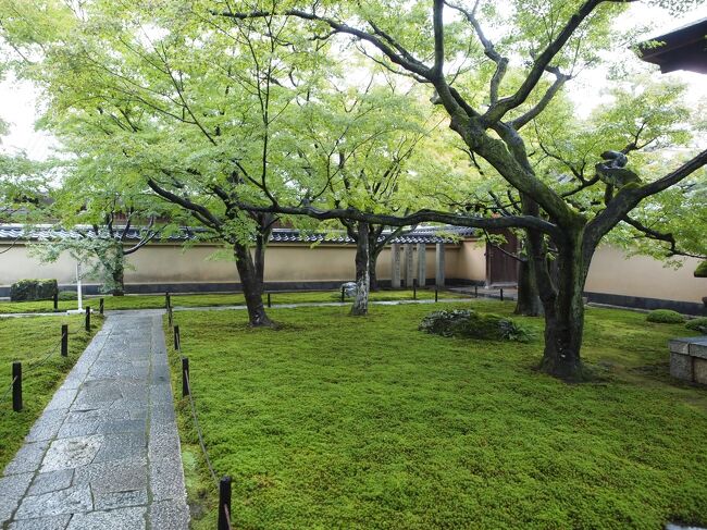 2019年秋　京都と大阪　御陵印・西国札所巡り・天橋立　４日目【3】大徳寺塔頭　黄梅院・興臨院・御金神社