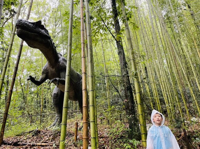 前日に大久野島（ウサギ島）泊後の移動<br />雨の中みろくの里訪問です<br />