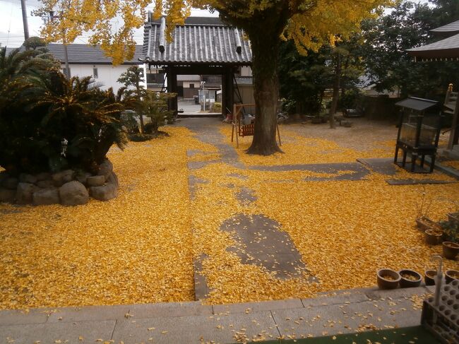 新型コロナがなかなか収束しない中で遠出もできず、ウォーキングなどのイベントも開催されずという状況である中で、ふと知多四国のお遍路を歩いてみようかと思いつきました。インターネットや書籍の情報によれば11回程度に分ければすべて巡ることができることがわかりました。<br /> 第1回目は第1番札所から8番札所(第5番札所を除く)7つの寺を巡礼しました。今回は前回の終了地点であるJR緒川駅から再開し、半田市の第18番札所光照寺まで巡礼します。<br /> その2は海潮院から光照寺まで4寺巡礼します。