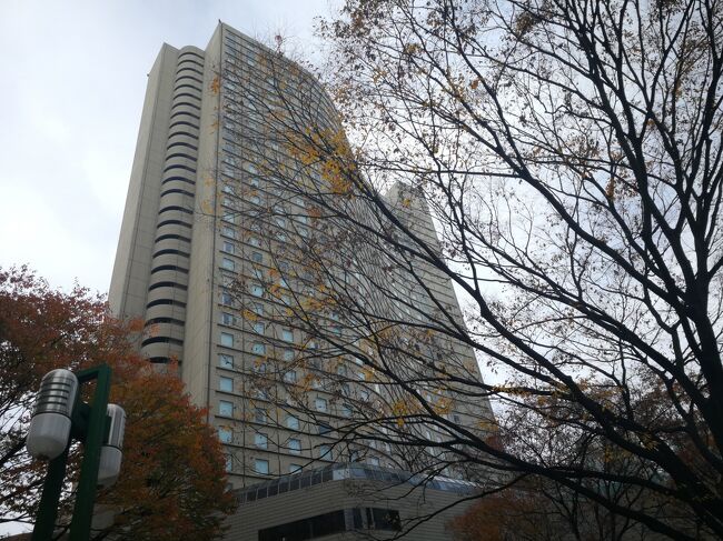 12月にランチと宿泊のためヒルトン東京に行きました。<br />ぎりぎりGOTOトラベルの時期だったような。<br /><br /><br /><br /><br />