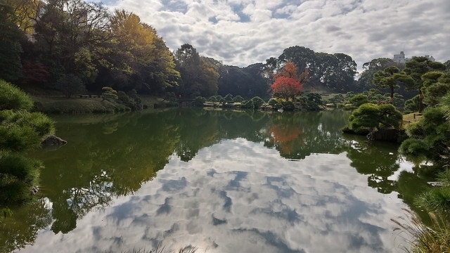 GOTO清澄白河散策