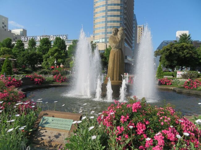 2021年5月下旬。初夏の横浜へ。<br />先月に続いてのホテルニューグランドステイ。<br />今回も現地で延泊を決めちゃって、眺めの素敵なタワー館とクラシカルでしっとりした本館の泊まり比べもしてみました。<br />館内レストランでのお食事も楽しんで。<br /><br />(その4)<br />ホテルニューグランドで迎えた朝。<br />目の前の山下公園へおさんぽ。ちょうど横浜ローズウィークを開催中で、沈床花壇には薔薇の花に混ざって紫陽花の花。<br />噴水とお花♪。氷川丸や横浜の港を眺めながらの朝の気持ちのいいひとときでした。<br /><br />**********<br />旅行日2021年5月24日~28日<br />投稿日2021年8月15日