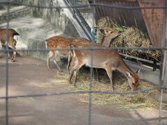 井の頭公園＆井の頭自然文化園