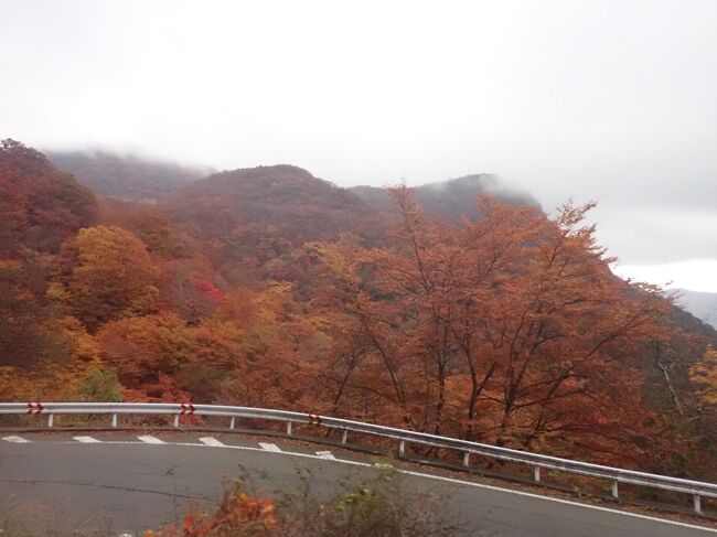 前々から行きたかった、私にとって未開の地・北関東!<br /><br />特に日光東照宮へ行きたくて、関西からはどういうルートで行くのが一番便利で楽なのか、4トラベルのQ&Aでも皆さまに色々と教えていただきましたが、<br />この紅葉の時期限定で催行される阪急交通社の2泊3日のツアーで行くこととしました。<br />(私のようなペーパードライバーが1人で行くなら)最短日数で効率よく回るには最適だったと思います。<br /><br /><br />2日目は1日中観光でした♪ヽ(´▽`)/ <br />バスのみでなく遊覧船にも乗り、吹割の滝、中禅寺湖、華厳の滝やいろは坂へと連れて行ってもらい、鬼怒川温泉に宿泊しました。<br /><br />草津とはまた違って、しっぽりと大人な感じ?の観光地でした。<br />っと言えば聞こえは良いですが、日没とともに数少ないお土産物屋さんも閉まるし、夜に遊ぶとこは何処にもなかったので、修学旅行生が多かったです。(;´∀`)<br /><br />