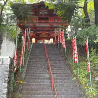 水澤観音、耳飾遺跡、箕輪城、ブドウ街道