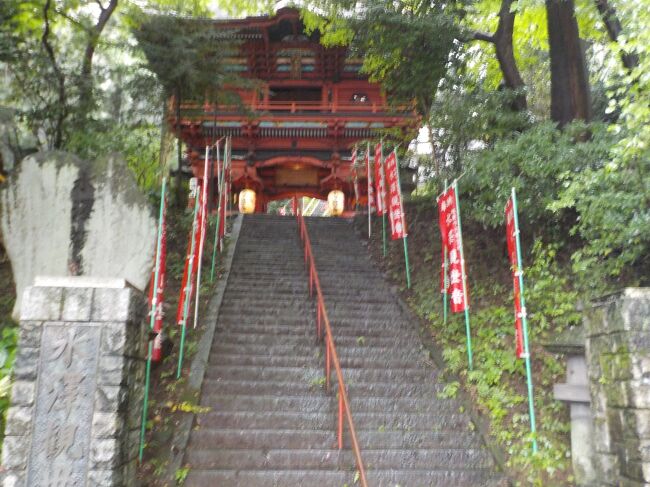 あいにくの大雨で、景色は、見られませんでした。<br />渋川の新規オ－プンのハナホテルを見つけたので、観光に行きました。<br />1　北渋川農産物直売所で、特産物の購入<br />2　水澤観音、うどん店見学<br />3　茅野遺跡と耳飾り博物館<br />4　榛名村ブドウ街道でブドウ狩り<br />5　箕輪城見学