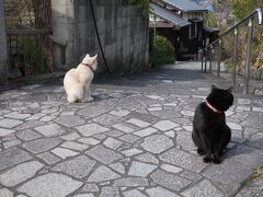 鞆の浦