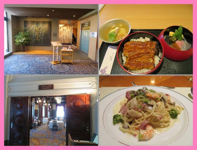初夏の横浜（６）「京料理 熊魚菴たん熊北店」でランチ＆「ザ・カフェ」でディナー＠ホテルニューグランド