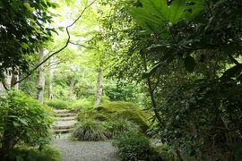 初夏の箱根旅行♪　Vol.11 ☆強羅：煌めく初夏の「箱根強羅公園」♪