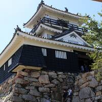 念願だった忍野八海へ*後編【ロイヤルホテル河口湖・駿河湾沼津SA・駿府城公園・石松餃子・浜松城】