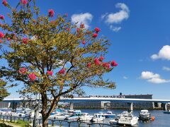 気ままな旅ラン10キロ～横浜 金沢～