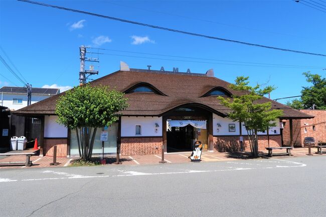 5歳息子と2人旅。<br /><br />2日目です。<br />今日は和歌山駅から貴志川線に乗ってネコ駅長に会いに行きます。<br />貴志川線には楽しい電車がいろいろあるので、途中の伊太祈曽駅で乗り換えて、合計4種類の電車に乗る予定です。<br />そのあとは奈良に移動して、東大寺とか春日大社あたりに行こうかなと思ってます。