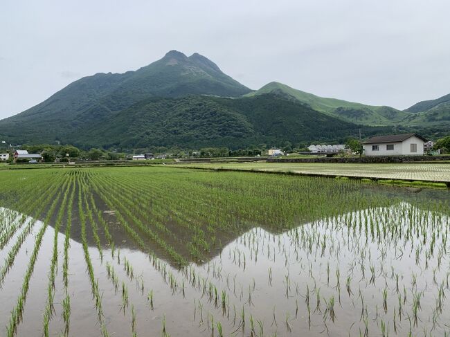 ずっと前から行ってみたかった湯布院<br />写真でみる由布岳を中心とした美しい田園風景<br />日本でも有数の温泉地<br />これは行くっきゃない、と湯布院行きを決めました<br />まずは別府で温泉に入り、地獄めぐりをして、豊後牛を食べてから、というフルコースを回ってからの湯布院<br />コロナ禍の中一人でなるべく喋らず…