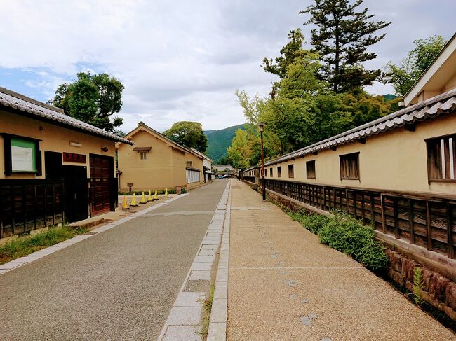 今年の長野市は例年より雨の日が多いらしい。<br />確かに予報は毎日雨マーク。<br />結局降らない日が多いけど、それでも広大な長野市のどこかでは降っている。<br />8月21日土曜日、せっかくの土曜日も予報は午後から雨。<br />どっかしらの山に行きたいけど、なかなか行けない。<br />仕方なく、秋か冬にでも行こうと思っていた、長野市南部にある真田十万石の城下町の松代に街歩きに行って来ました。<br /><br /><br />そこそこ昔の城下町の雰囲気や街並みも残っていましたが、小布施や善光寺周辺とは違い、ザ観光地といった雰囲気がない静かな町でした。<br />見ての通り、がらがらです。<br /><br />松代は、武田信玄が善光寺平掌握のために築いた平城（海津城）が先駆けで、川中島合戦の最大の主戦場となり、その後松平、酒井といった徳川方の城となり、最終的には、上田から藩変えとなった、真田の城下町となったところです。<br />