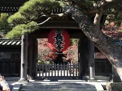 年末の鎌倉～江ノ電で寺社巡り