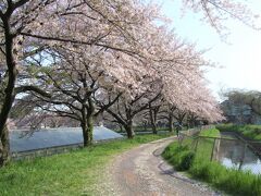 『見沼田んぼ②』見沼代用水・見沼通船堀と桜回廊