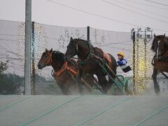 20210821-3 帯広 帯広競馬場までばんえい競馬見物に。馬券は…まぁ入場料程度で。