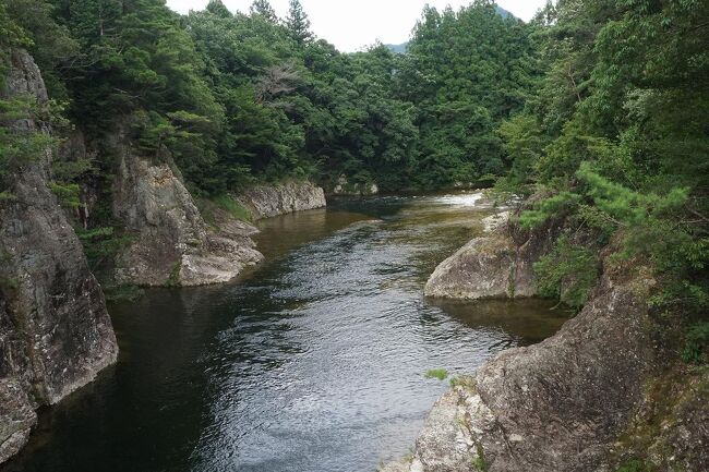 愛知県内での旅行記が20冊たまったので、“My Favorite 愛知”と題して、まとめてみました。<br /><br />2018年8月から2021年8月までの記録です。情報が古い部分もありますので、雑誌を読むように、サラサラと流して頂けると幸いです。<br /><br />愛知県まとめ旅行記。<br /><br />My Favorite 愛知 VOL.1<br />https://4travel.jp/travelogue/11392474