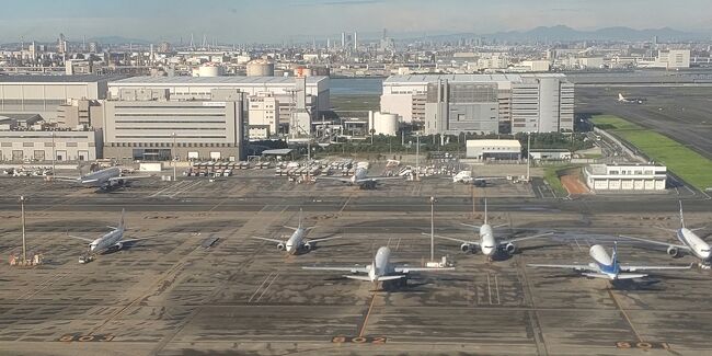 函館ゴルフ旅の空港編です!<br />羽田空港と函館空港をご案内します~