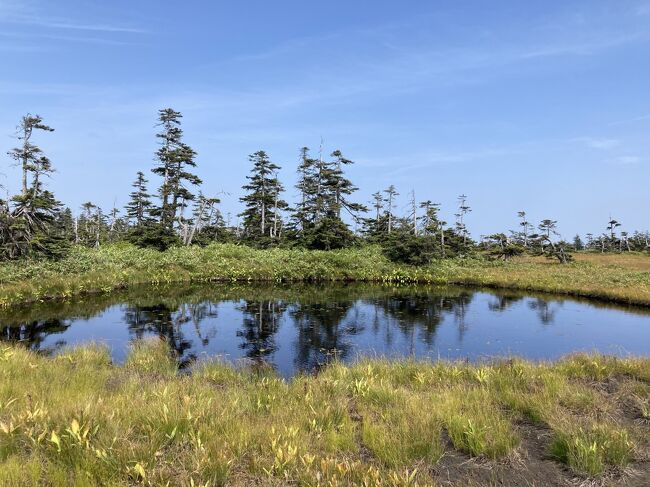 松山湿原《北海道三大秘境のひとつ》へ登山（6歳児・子連れ）～まさに秘境！異世界！～