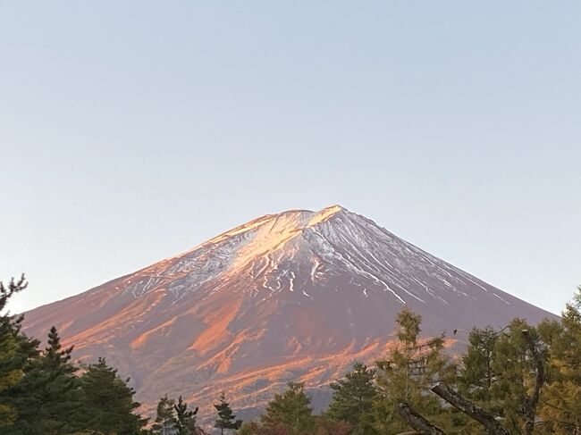 コロナのせいでいつもみたいに海外に行けなーい!!<br />でも気分転換したい!!癒されたい!!<br />ということで、気になっていた高規格キャンプ場へGO&#12316;!!