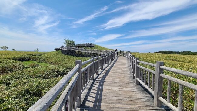 北海道２日目、網走スタートでレンタカーで知床へ。<br /><br />ルートは<br /><br />①天に続く道<br />②オシンコシンの滝<br />③プユニ岬<br />④知床五胡<br />⑤カムイワッカ湯の滝<br />⑥フレぺの滝<br />⑦北こぶし知床ホテル＆リゾート<br /><br />の順番で回りました。<br /><br />カラッと晴れていて最高に気持ちいい天候の日でした。