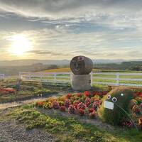 秋の訪れを感じる美瑛・富良野 (1) - 青い池、白ひげの滝、新栄の丘で夕日