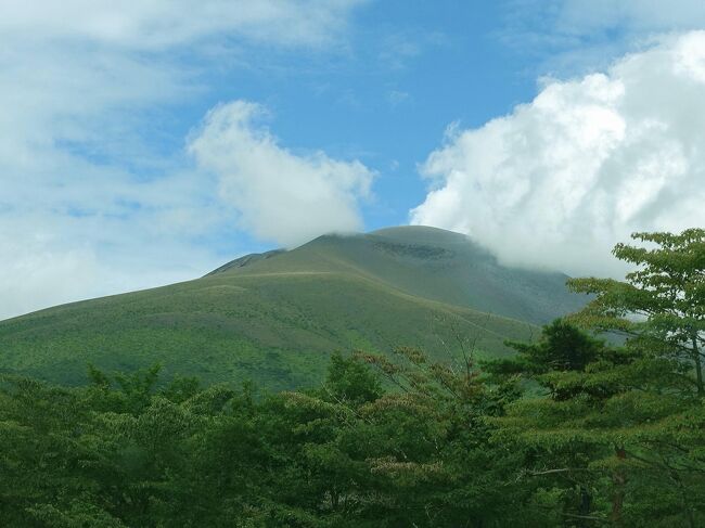 家族で恒例の軽井沢に行ってきました。<br />わずか3泊ではありますが、避暑地でのんびりリフレッシュ!<br />昨年は中止しましたから今年は本当に待ち遠しかったですね。<br />娘家族ともなかなか一緒に過ごす機会もなかったので、二人のお孫ちゃんとも楽しく過ごせてよかったです。<br />宿泊は標高1100m以上の北軽井沢なので、とにかく涼しい!<br />湿気が少ないですから気持ちがいいこと^^<br />朝の気温は19℃とかですからよく眠れるのも嬉しい。<br /><br />夕食はいつもは食べられない高級牛肉<br />高原野菜が美味しい。<br /><br />2日目は子供たちはアスレチックに行って大喜び。<br />3日目は男性軍はゴルフ、女性軍は子供たちと一緒に高原野菜のもぎ取りに行ってきました。
