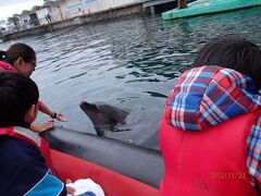 2012年11月箱根-1＜伊豆みかん狩り・三津シーパラダイス・箱根富士屋ホテル宿泊＞