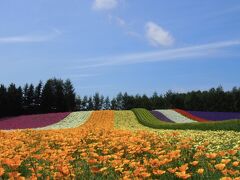 旅する車いす★富良野・美瑛日帰りの旅 富良野編 ファーム富田のラベンダーに癒される