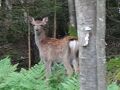 茅野の旅行記