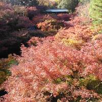 駅から紅色の散歩・・・京都